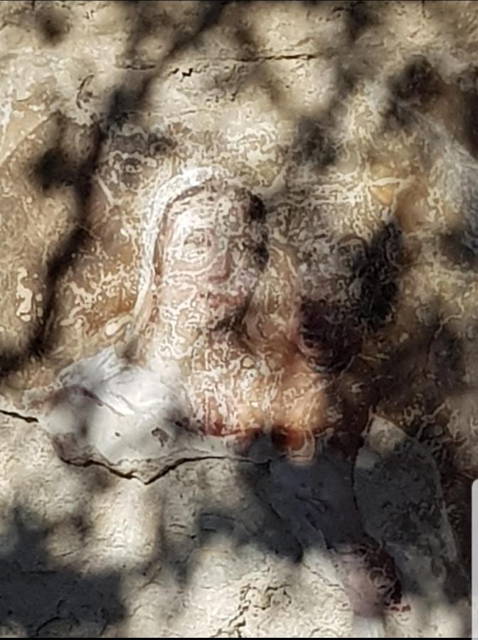 Chambre D'Hote Geiko Cabrieres-d'Aigues ภายนอก รูปภาพ